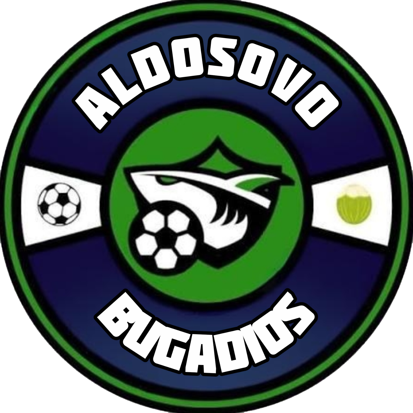 Escudo Aldosovo